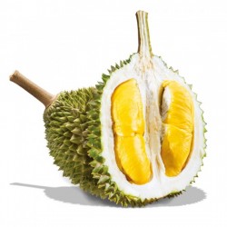 貓山王榴槤