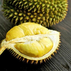 貓山王榴槤
